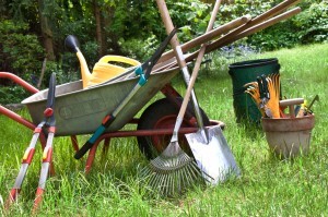 Jardinage / Alimentation animale