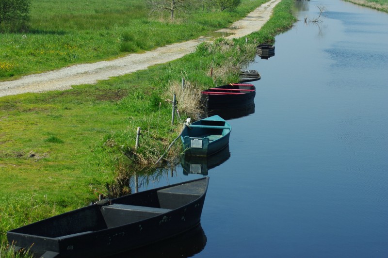 chaland en brière