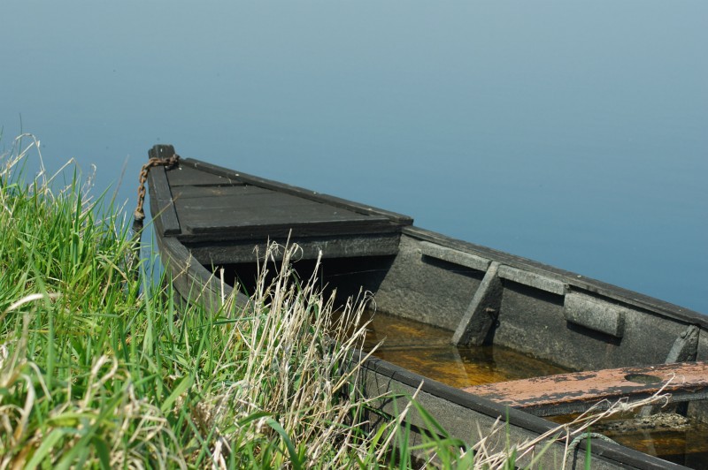 chaland en brière