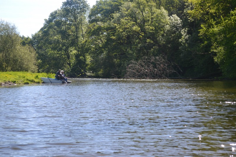 Pêcheur brivet