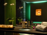 Cabine intérieur vert - Spa de la Cour Carré - Domaine de la Bretesche - Missillac