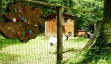 Camping le Bois de Beaumard à Pontchâteau en Brière - proche de l'axe Nantes Vannes - Basse cours