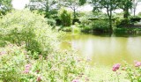 Camping le Bois de Beaumard à Pontchâteau en Brière - proche de l'axe Nantes Vannes - étang