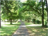 Camping St Clair à Guenrouët 