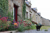 chambre d'hôtes à Missillac