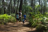 forêt de bernugat à Saint-Gildas-des-Bois
