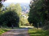 forêt de bernugat à Saint-Gildas-des-Bois