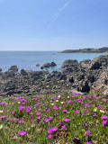 image00003-2040240