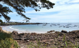 img-20240807-131551-retouch-2040239