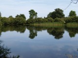 Landes de Bilais à Drefféac