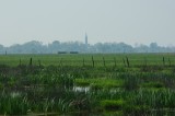 Marais de Brière