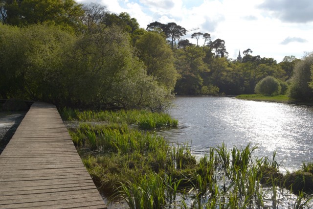 'Coët Roz' picnic area