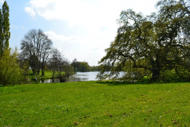 'L'Étang des Platanes' picnic area