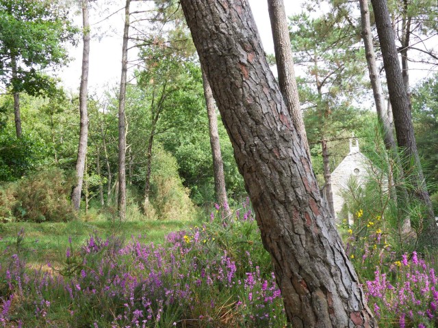 'Rocher à la Vache' picnic area