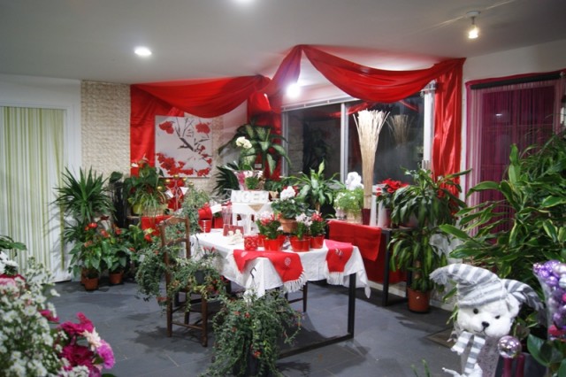 Alliance florale magasin de fleurs intérieur