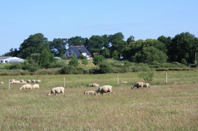 Ferme de Bel Air à Guenrouet - canal de Nantes à Brest