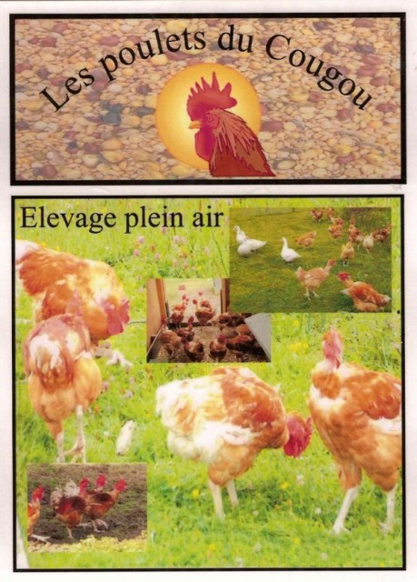 les-poulets-du-cougou-nadine-roux-baron-1217033