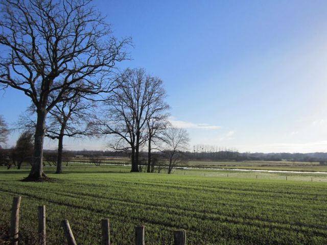 Sentier du Haut Brivet