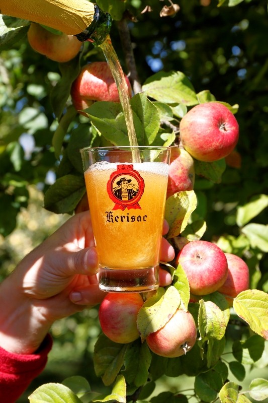 Cidre Kerisac Guenrouët - l'abus d'alcool est dangereux pour la santé