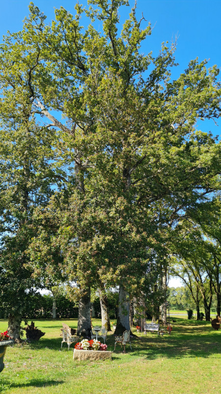 Domaine de la Brissais location de salle à St Gildas des Bois