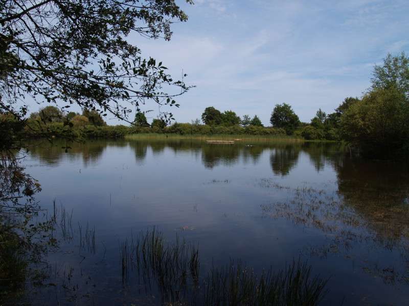 étang des landes de bilais