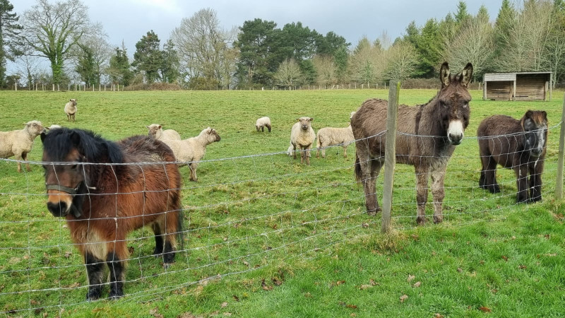 Ferme du Forsdoff 