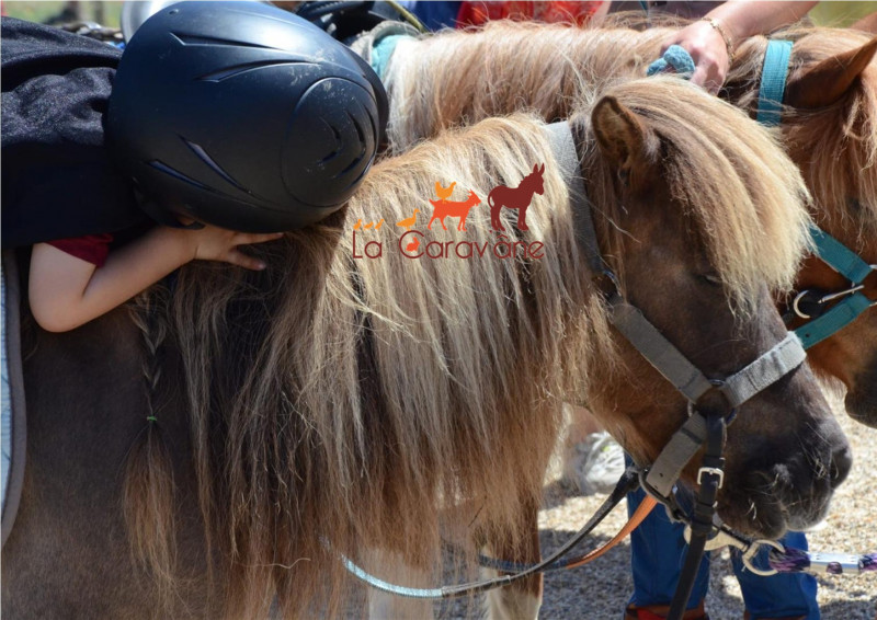 Ferme la Carav'âne - © Ferme la Carav'âne Ferme la Carav'âne