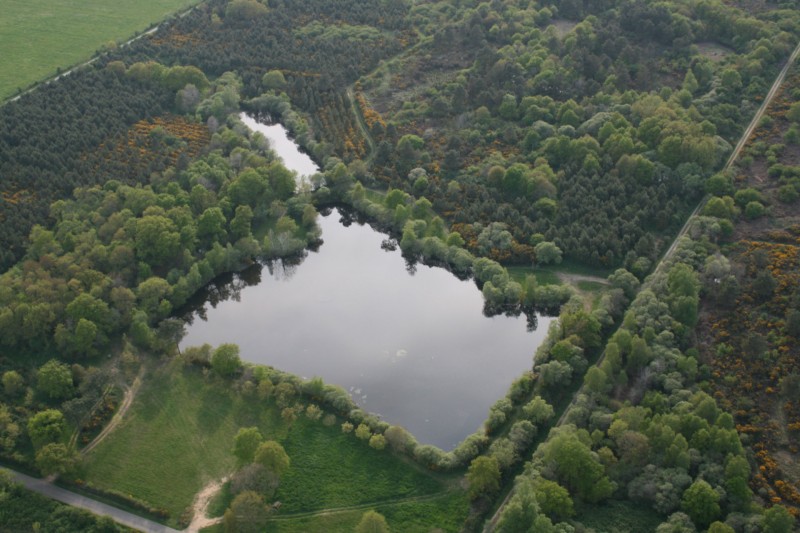 Landes de Bilais à Drefféac