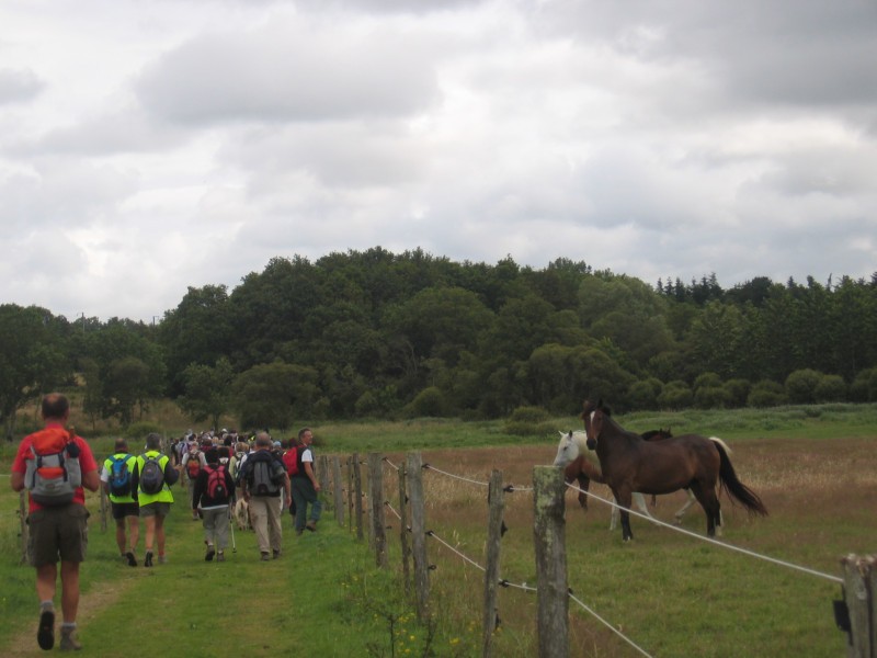 Les Randonneurs du Brivet