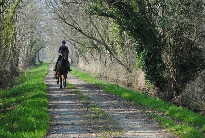 Marais Ste Marie