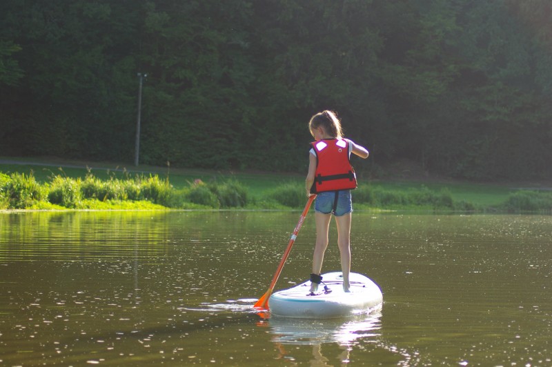 paddle 