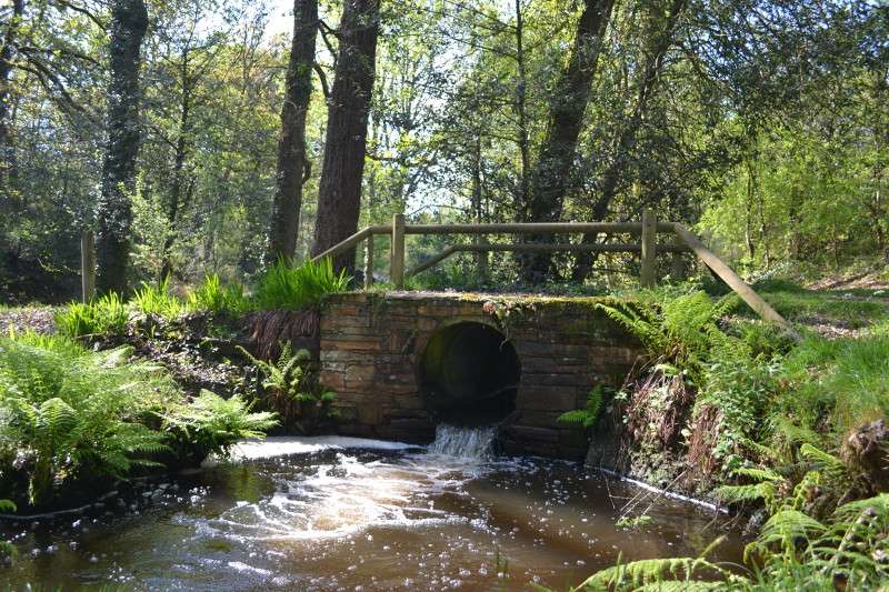 pont de la Barbotte