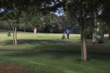 golf