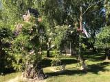 La Moussette  - La végétation du jardin profite aux oiseaux - La Baule