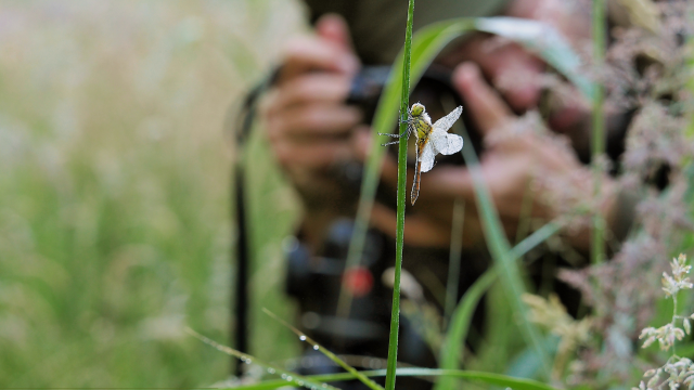 Atelier photo nature 