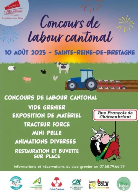 Concours de labour et vide grenier 