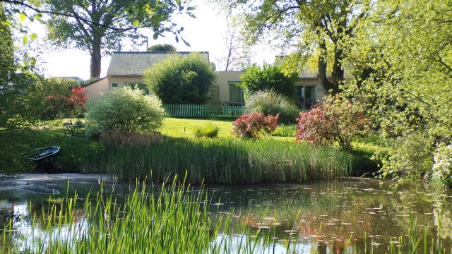 Gîte au jardin d'eau bambou zen à Missillac