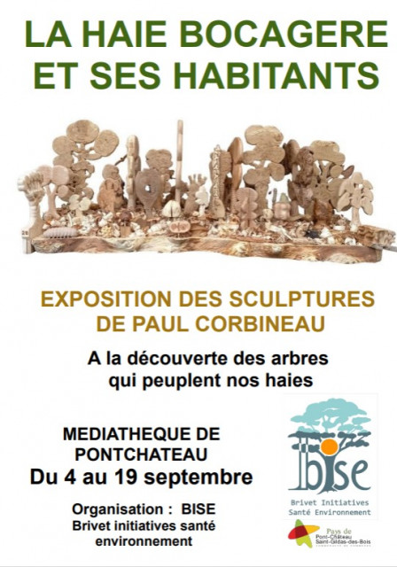 La haie bocagère et ses habitants