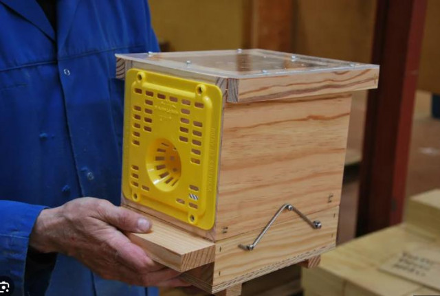 piège en bois contre les frelons