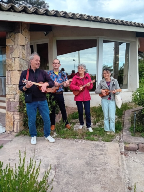 Ukulele du brivet