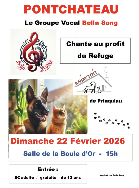 Concert Bella Song Concert Bella Song