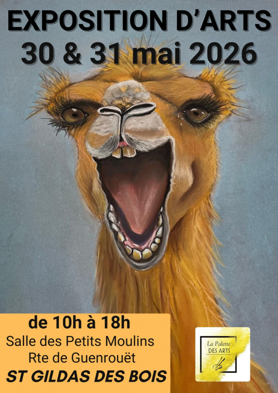 Exposition artistique la Palette des Arts