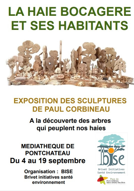 La haie bocagère et ses habitants