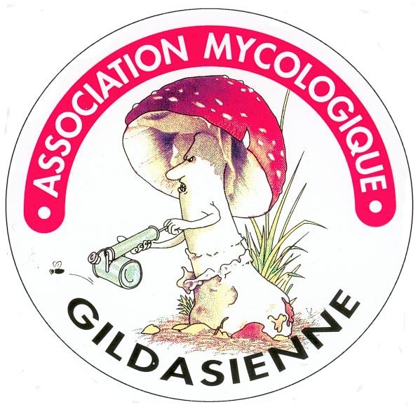 Logo AMG
