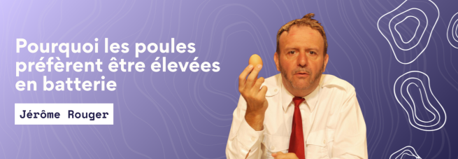 Pourquoi les poules préfèrent être élevées en batterie