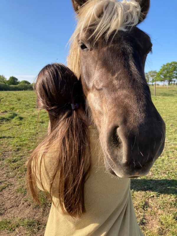 Stage développer sa confiance en soi avec le horse coaching