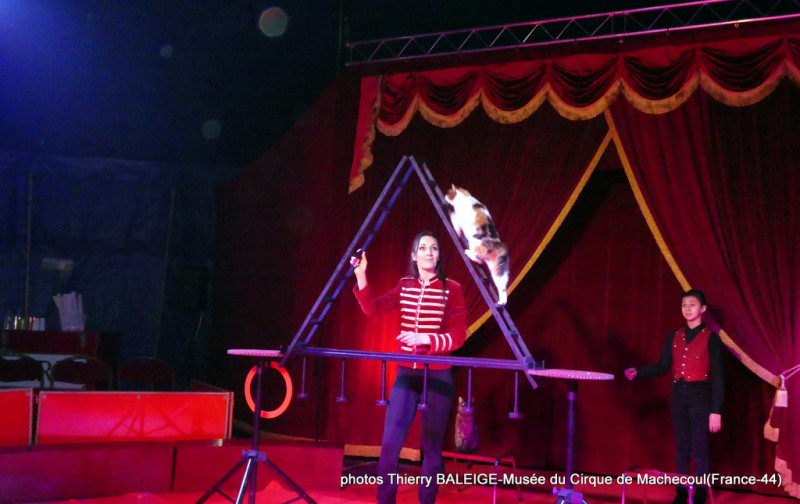 Steven Dumas Circus - © Thierry Baleige Steven Dumas Circus